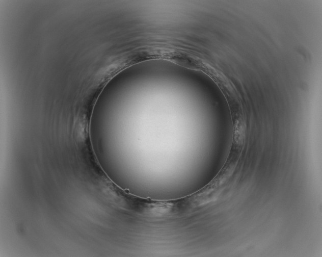 X0000113020474200908271437