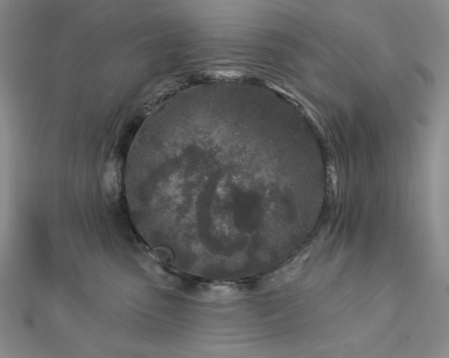 X0000113020475200908271437