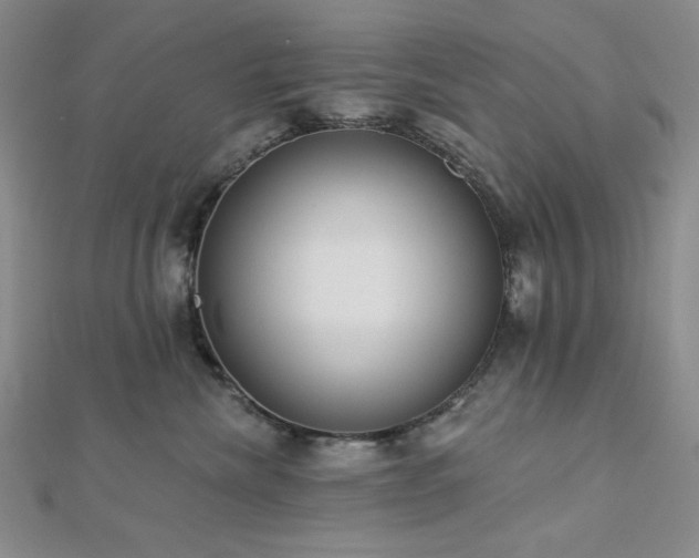 X0000113020476200908271437