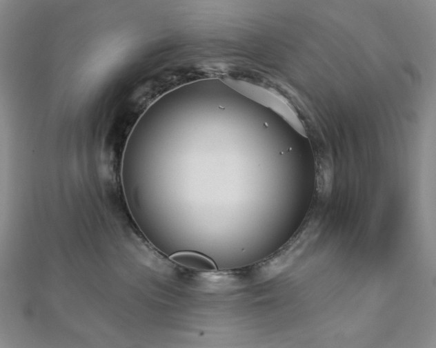 X0000113020477200908271437