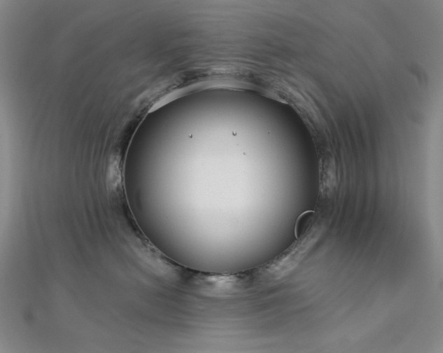 X0000113020478200908271437