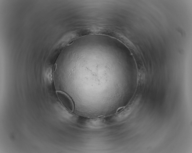 X0000113020479200908271437