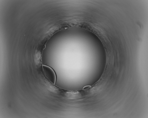 X0000113020480200908271437