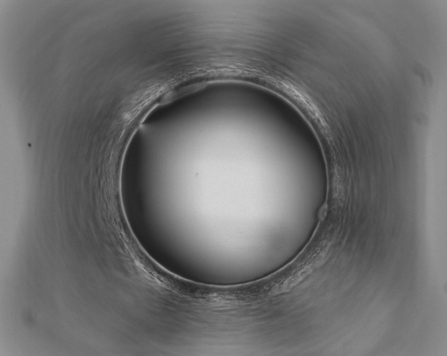 X0000113020481200908271436