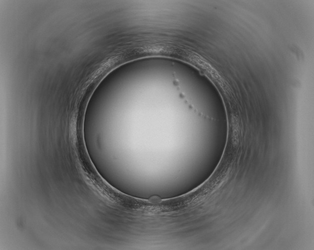 X0000113020482200908271436