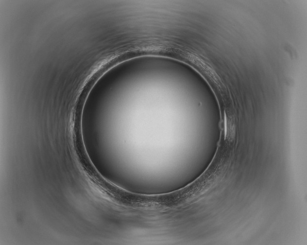 X0000113020483200908271436