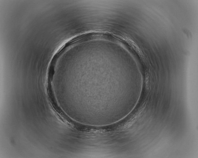 X0000113020484200908271436