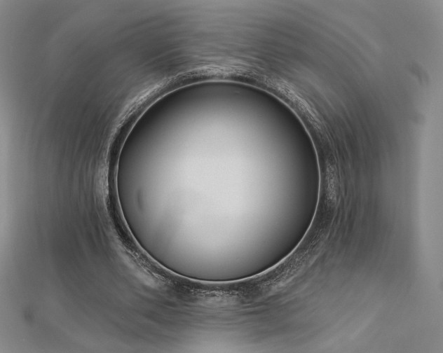 X0000113020486200908271436