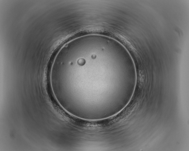 X0000113020487200908271436