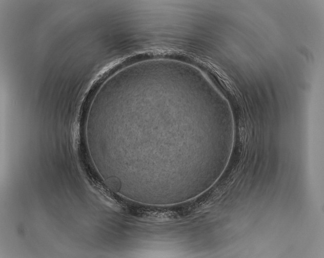 X0000113020488200908271436