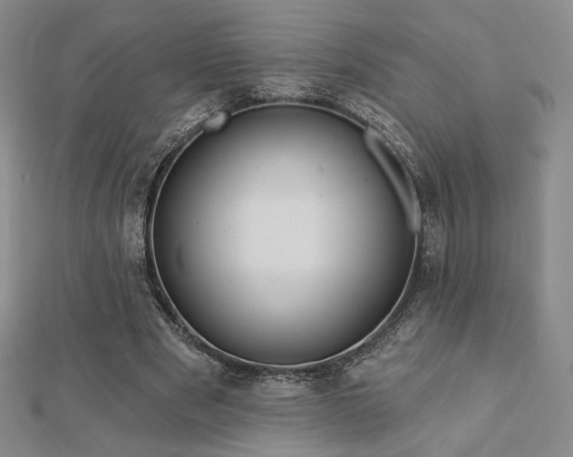 X0000113020489200908271436