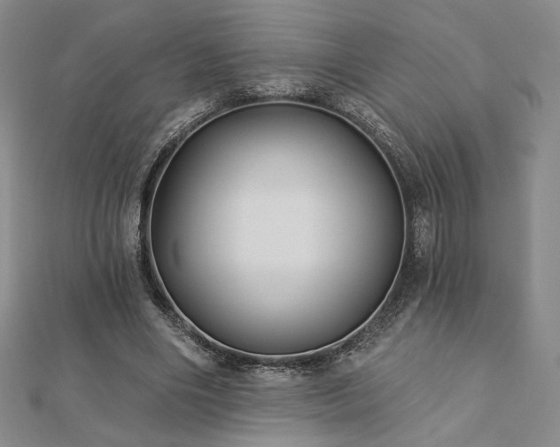 X0000113020490200908271436