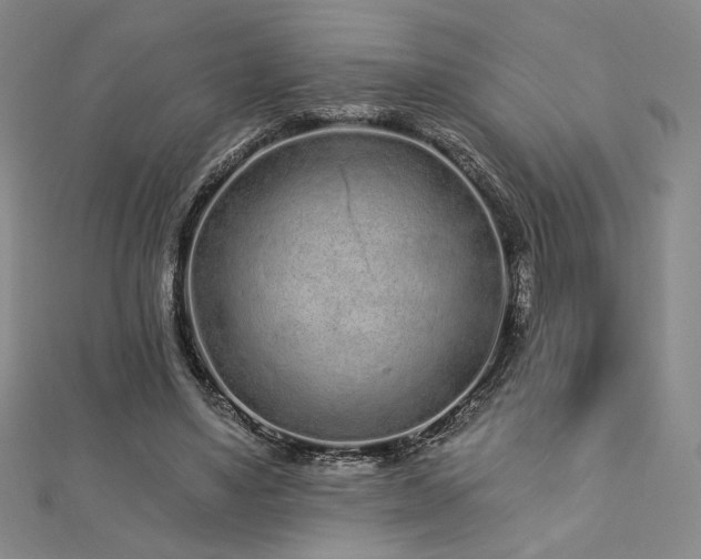 X0000113020491200908271436