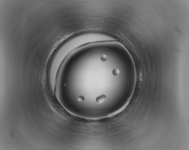X0000113020492200908271436
