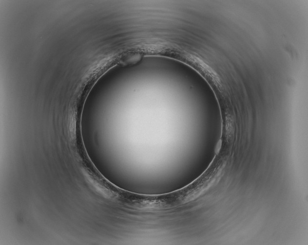 X0000113020493200908271436