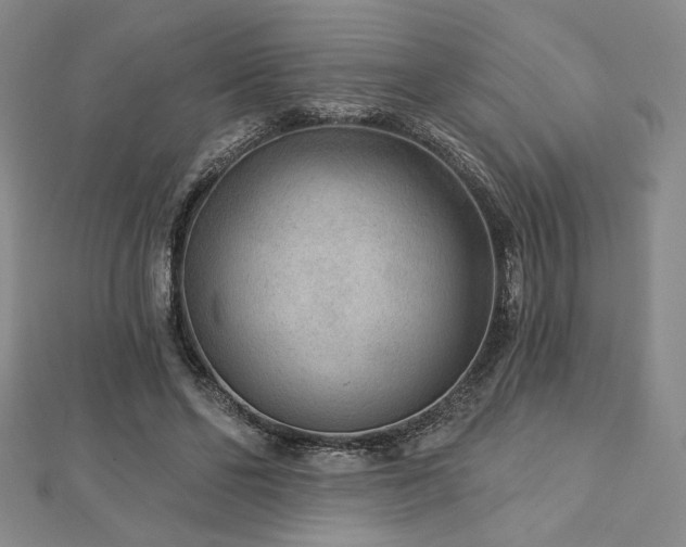 X0000113020494200908271436