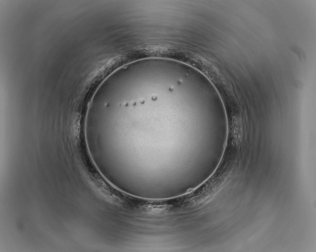 X0000113020495200908271436