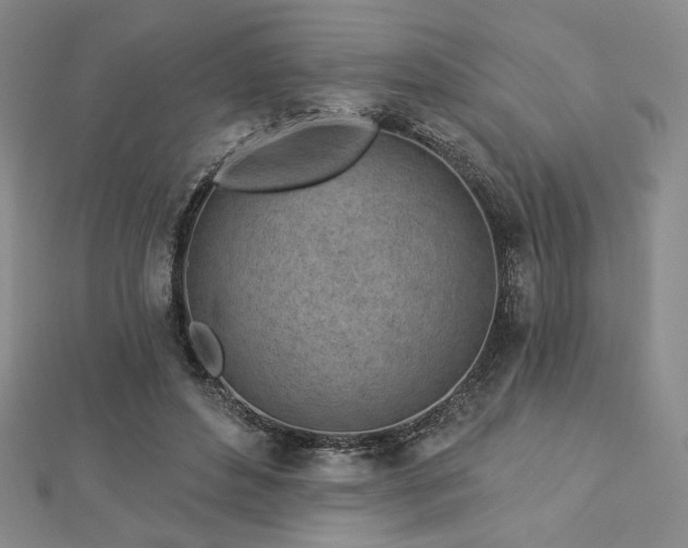 X0000113020496200908271436