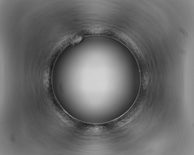 X0000113020497200908271436