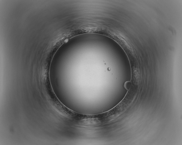 X0000113020499200908271436
