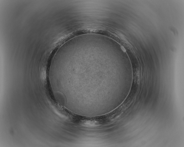 X0000113020500200908271436