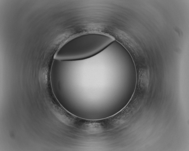 X0000113020501200908271436