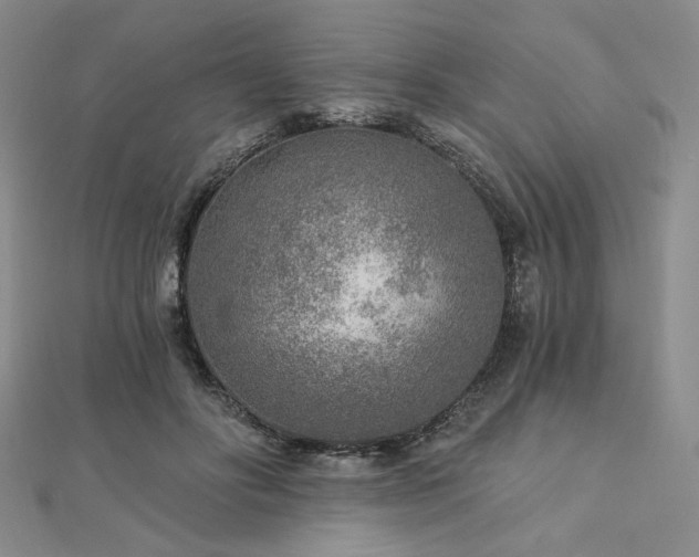 X0000113020502200908271436