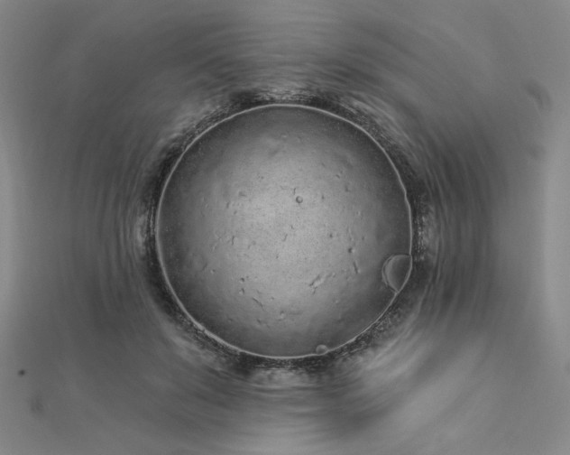 X0000113020503200908271436