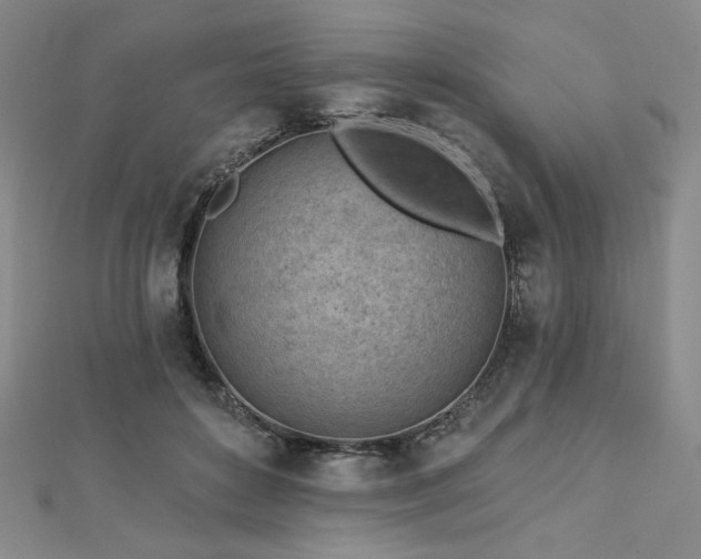 X0000113020504200908271436