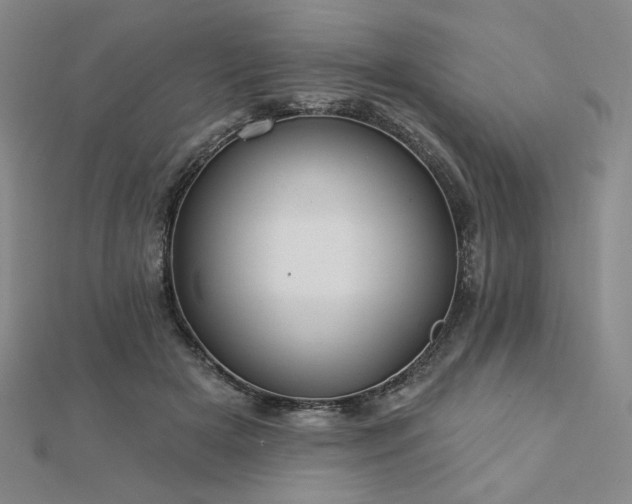 X0000113020505200908271436