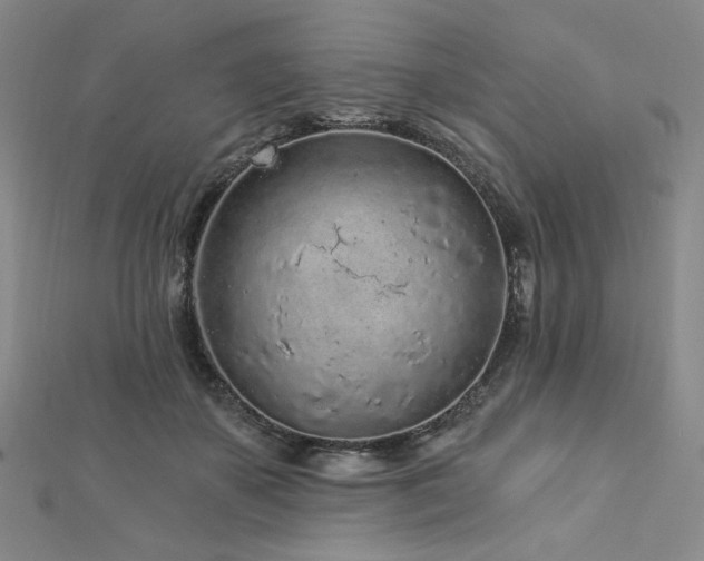 X0000113020507200908271436