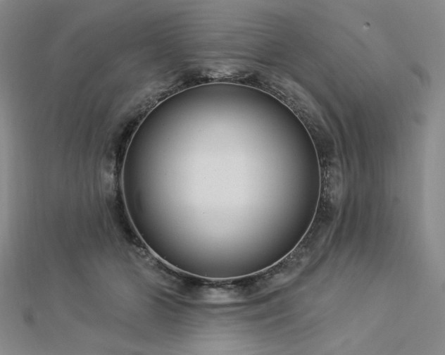 X0000113020510200908271436