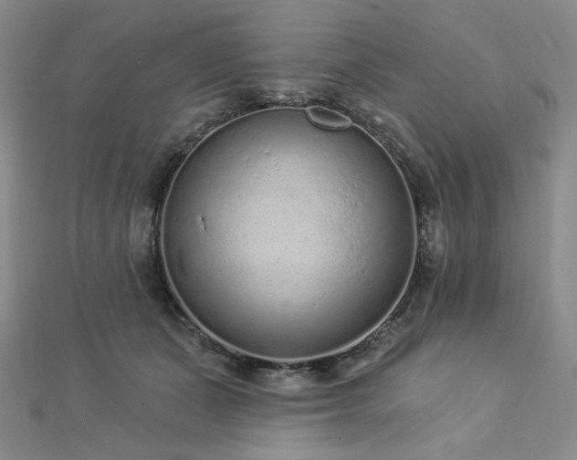 X0000113020511200908271436
