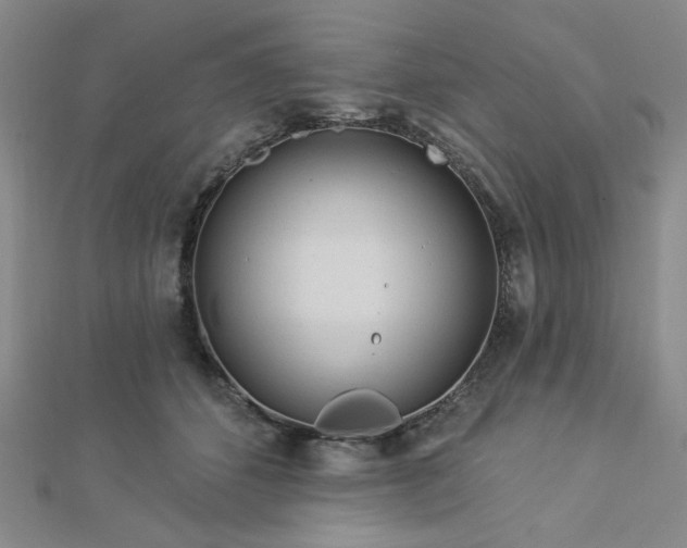 X0000113020512200908271436