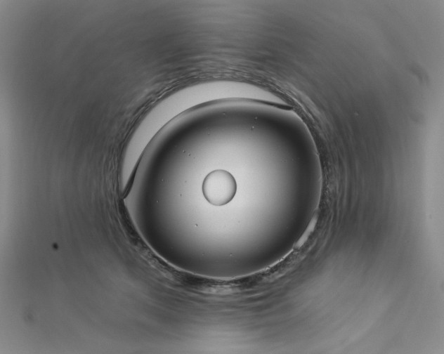 X0000113020513200908271436