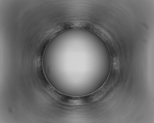 X0000113020514200908271436