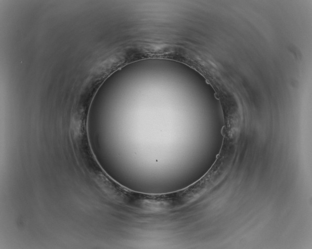 X0000113020515200908271436