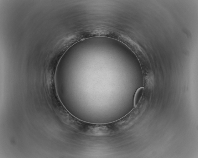 X0000113020517200908271436