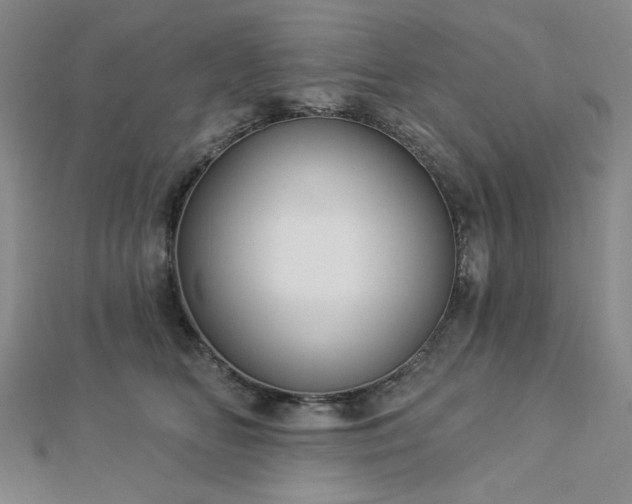 X0000113020518200908271436