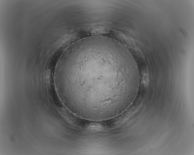 X0000113020519200908271436