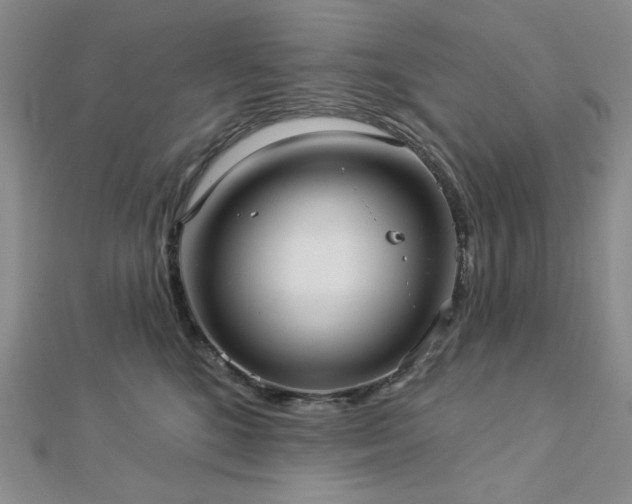 X0000113020520200908271436