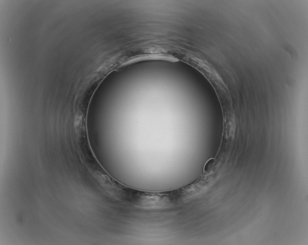 X0000113020521200908271436