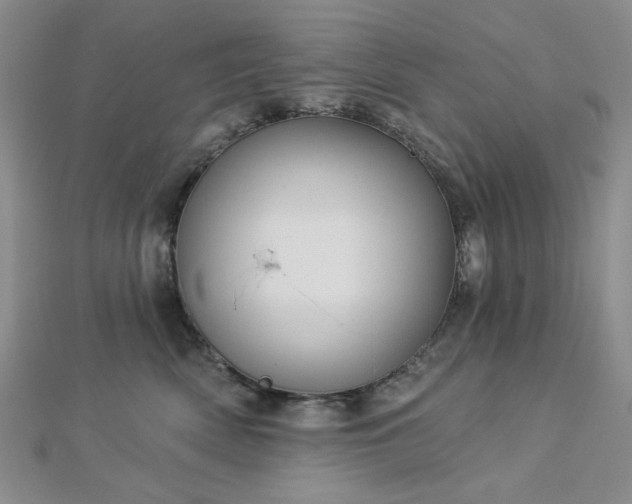 X0000113020522200908271436