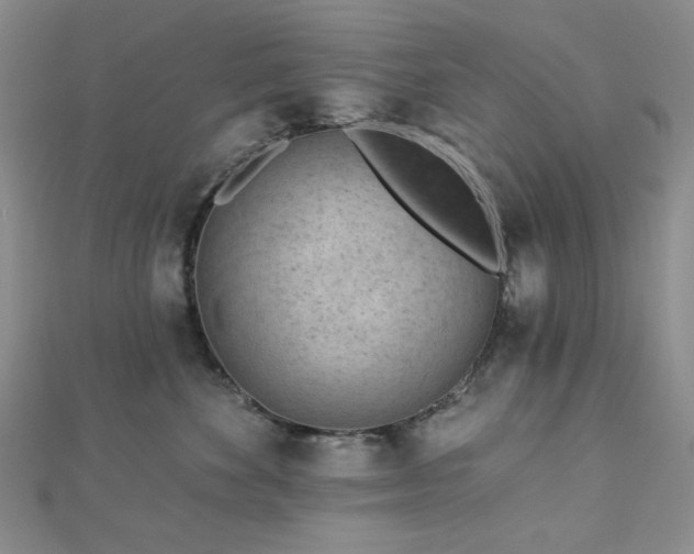 X0000113020524200908271436