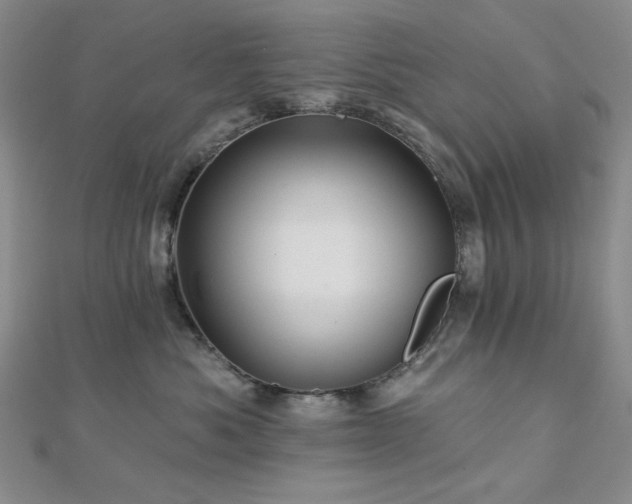 X0000113020525200908271436