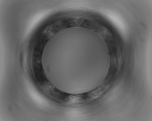 X0000113020526200908271436