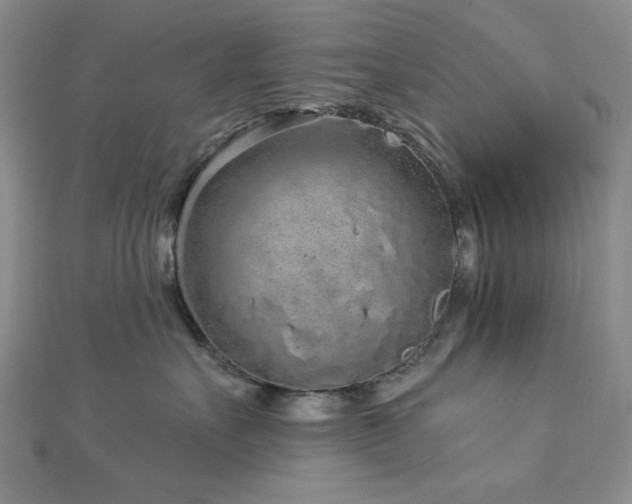 X0000113020527200908271436