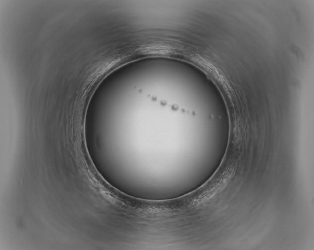 X0000113020529200908271435