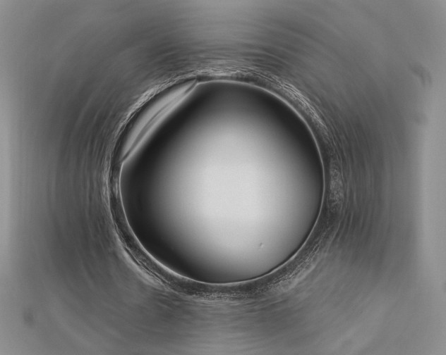 X0000113020530200908271435