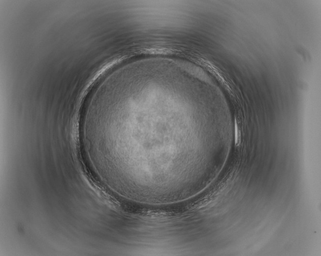 X0000113020531200908271435